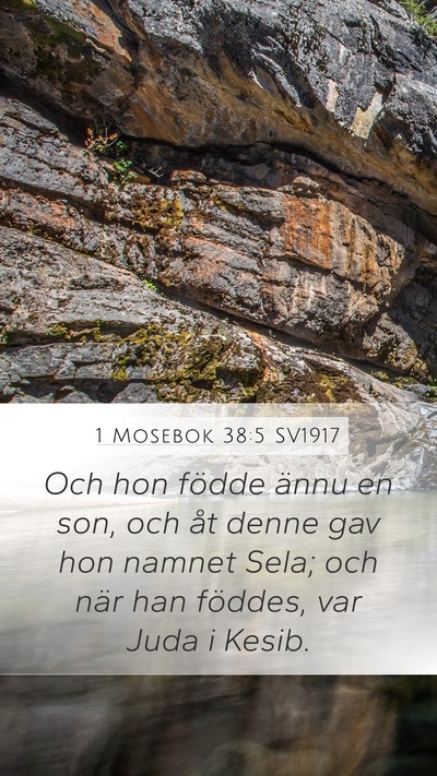 1 Mosebok 38:5 SV1917 Bible Verse Image