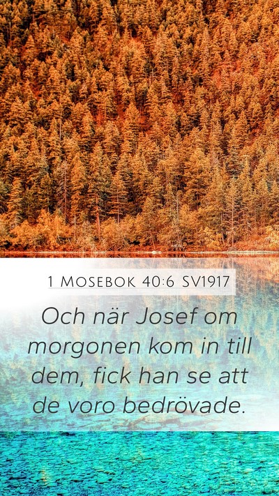 1 Mosebok 40:6 SV1917 Mobile Phone Wallpaper - Och när Josef om morgonen kom in till dem, fick - Mobile Bible Verse Wallpaper