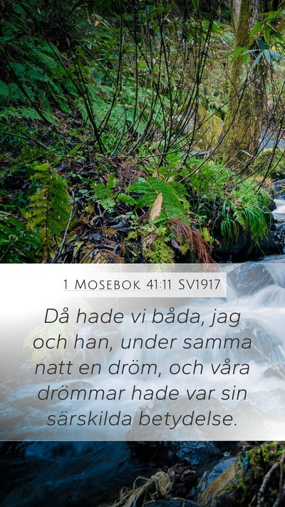 1 Mosebok 41:11 SV1917 Bible Verse Image