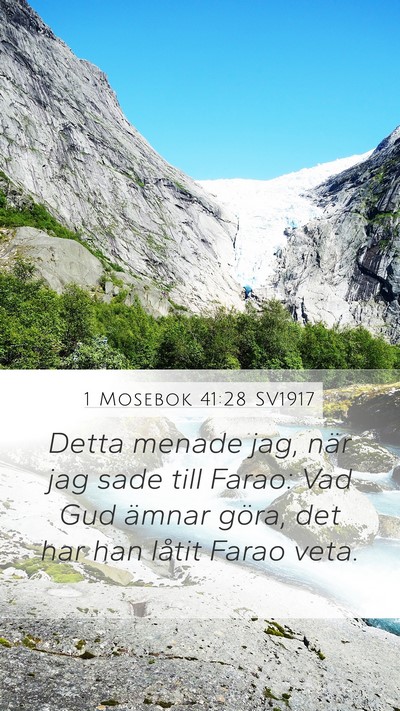1 Mosebok 41:28 SV1917 Bible Verse Image