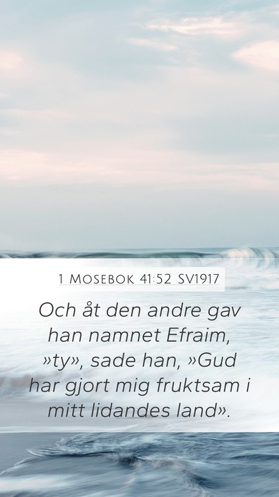1 Mosebok 41:52 SV1917 Bible Verse Image