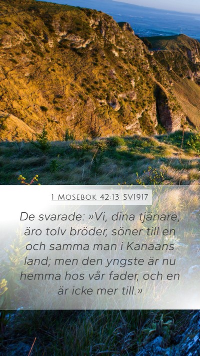 1 Mosebok 42:13 SV1917 Bible Verse Image