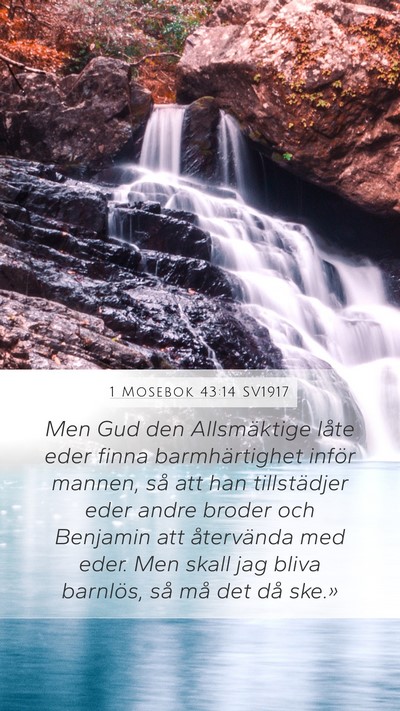 1 Mosebok 43:14 SV1917 Bible Verse Image