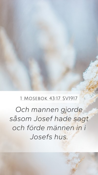 1 Mosebok 43:17 SV1917 Mobile Phone Wallpaper - Och mannen gjorde såsom Josef hade sagt och - Mobile Bible Verse Wallpaper