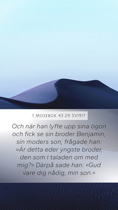 1 Mosebok 43:29 SV1917 Bible Verse Image
