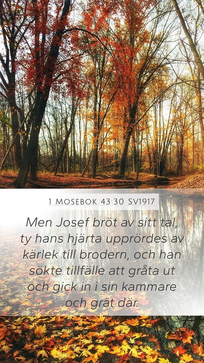 1 Mosebok 43:30 SV1917 Bible Verse Image