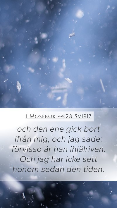 1 Mosebok 44:28 SV1917 Bible Verse Image