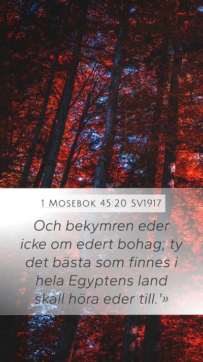 1 Mosebok 45:20 SV1917 Mobile Phone Wallpaper - Och bekymren eder icke om edert bohag; ty det - Mobile Bible Verse Wallpaper