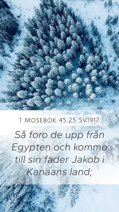 1 Mosebok 45:25 SV1917 Mobile Phone Wallpaper - Så foro de upp från Egypten och kommo till sin - Mobile Bible Verse Wallpaper