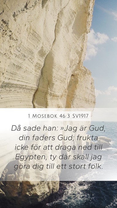 1 Mosebok 46:3 SV1917 Bible Verse Image