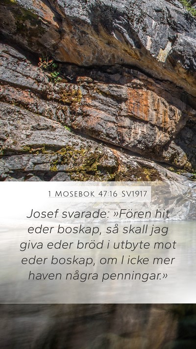 1 Mosebok 47:16 SV1917 Mobile Phone Wallpaper - Josef svarade: »Fören hit eder boskap, så - Mobile Bible Verse Wallpaper