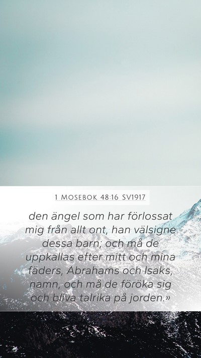 1 Mosebok 48:16 SV1917 Bible Verse Image