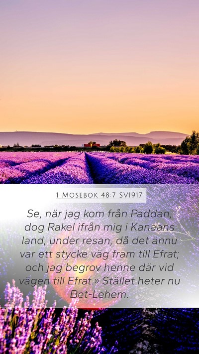 1 Mosebok 48:7 SV1917 Mobile Phone Wallpaper - Se, när jag kom från Paddan, dog Rakel ifrån - Mobile Bible Verse Wallpaper