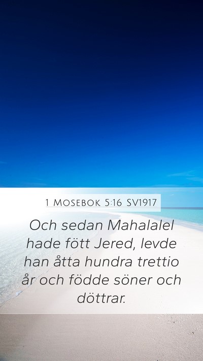 1 Mosebok 5:16 SV1917 Mobile Phone Wallpaper - Och sedan Mahalalel hade fött Jered, levde han - Mobile Bible Verse Wallpaper