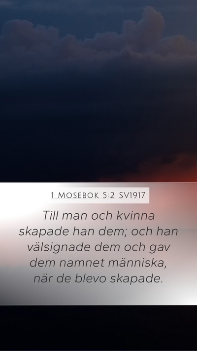1 Mosebok 5:2 SV1917 Bible Verse Image