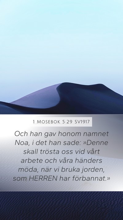 1 Mosebok 5:29 SV1917 Bible Verse Image