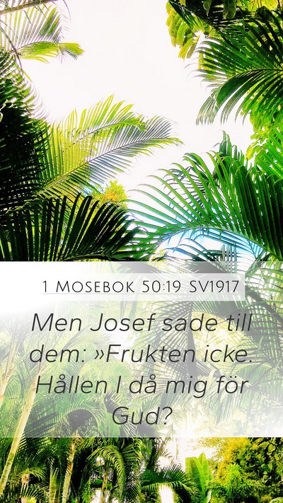 1 Mosebok 50:19 SV1917 Bible Verse Image