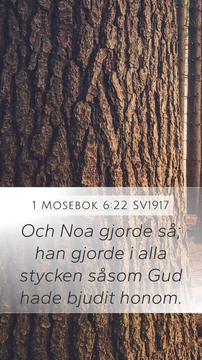 1 Mosebok 6:22 SV1917 Bible Verse Image