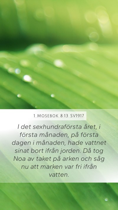 1 Mosebok 8:13 SV1917 Bible Verse Image
