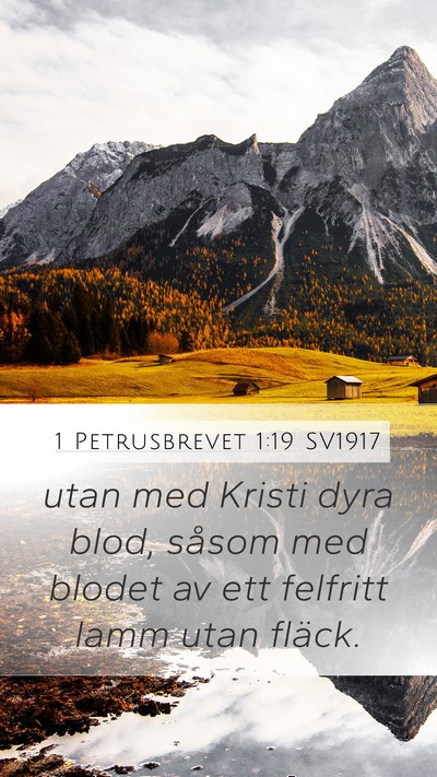 1 Petrusbrevet 1:19 SV1917 Bible Verse Image