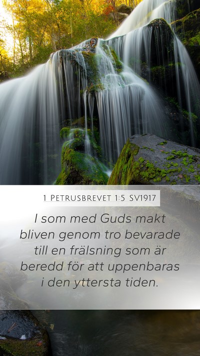 1 Petrusbrevet 1:5 SV1917 Bible Verse Image