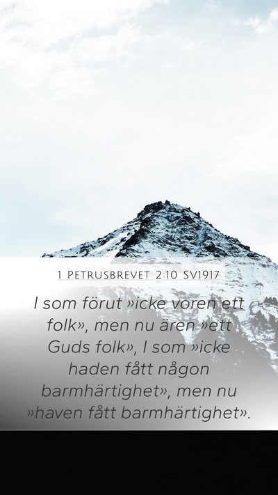 1 Petrusbrevet 2:10 SV1917 Bible Verse Image