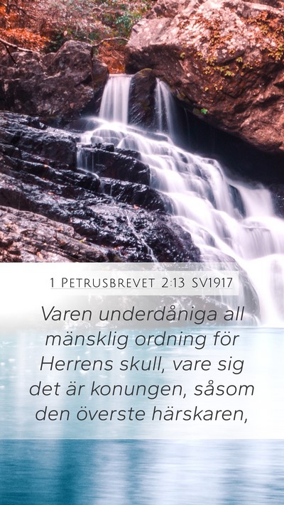 1 Petrusbrevet 2:13 SV1917 Bible Verse Image