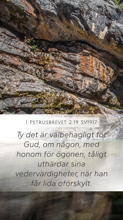 1 Petrusbrevet 2:19 SV1917 Bible Verse Image