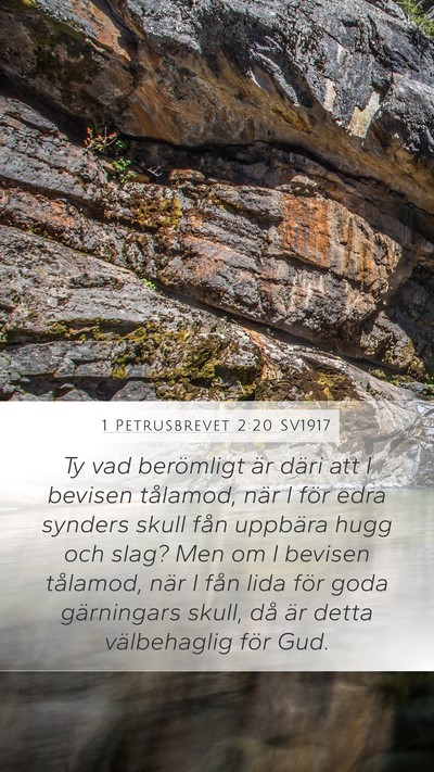 1 Petrusbrevet 2:20 SV1917 Bible Verse Image