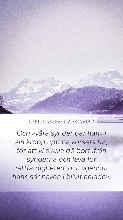 1 Petrusbrevet 2:24 SV1917 Bible Verse Image