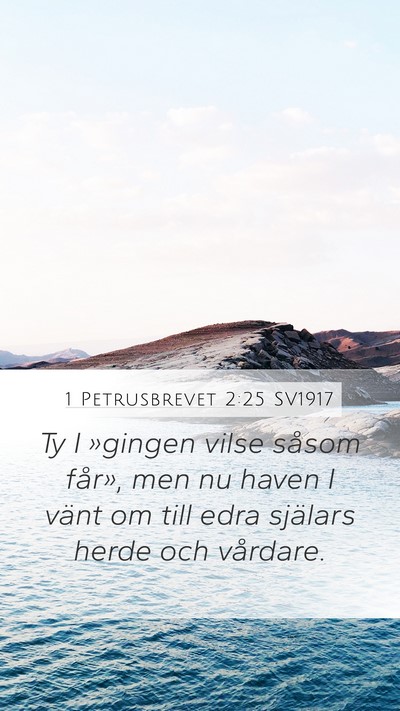 1 Petrusbrevet 2:25 SV1917 Bible Verse Image