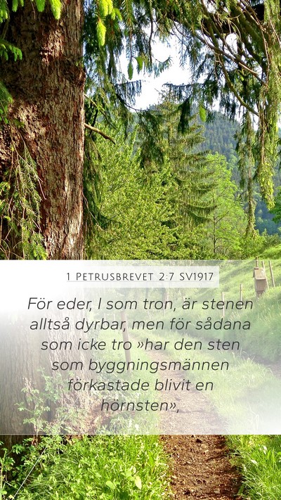 1 Petrusbrevet 2:7 SV1917 Bible Verse Image
