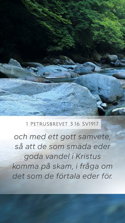 1 Petrusbrevet 3:16 SV1917 Bible Verse Image