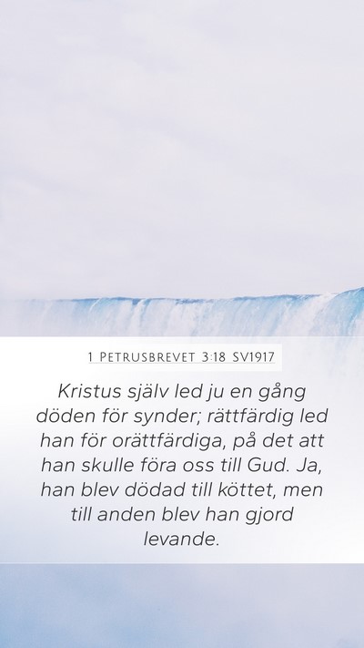 1 Petrusbrevet 3:18 SV1917 Bible Verse Image