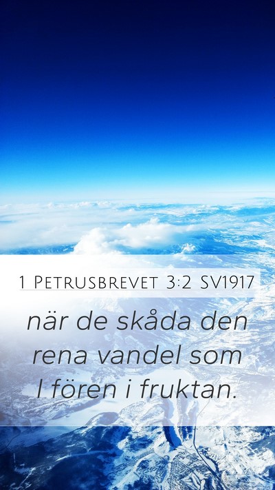 1 Petrusbrevet 3:2 SV1917 Bible Verse Image