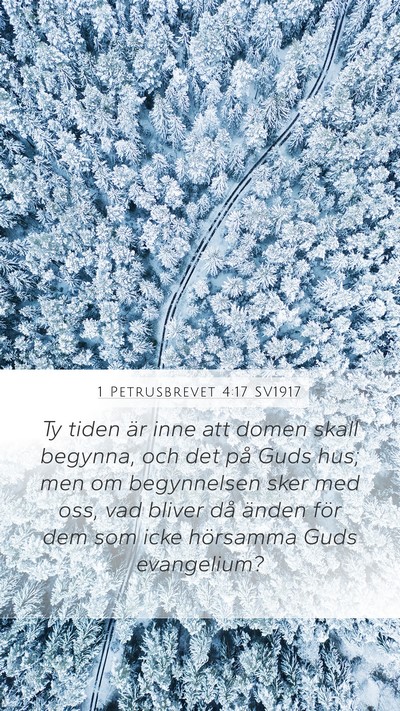 1 Petrusbrevet 4:17 SV1917 Bible Verse Image