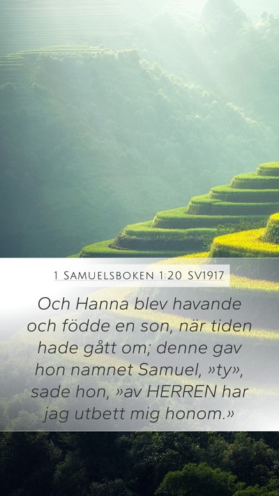 1 Samuelsboken 1:20 SV1917 Bible Verse Image