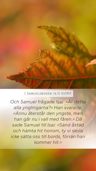 1 Samuelsboken 16:11 SV1917 Bible Verse Image