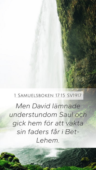 1 Samuelsboken 17:15 SV1917 Bible Verse Image