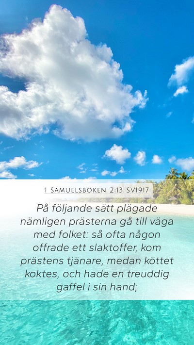 1 Samuelsboken 2:13 SV1917 Bible Verse Image