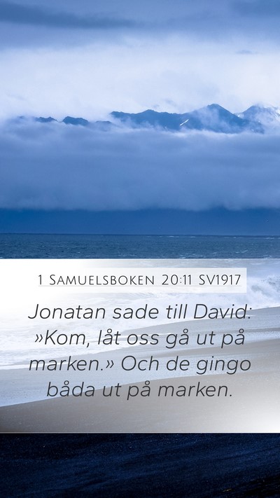1 Samuelsboken 20:11 SV1917 Mobile Phone Wallpaper - Jonatan sade till David: »Kom, låt oss gå ut - Mobile Bible Verse Wallpaper