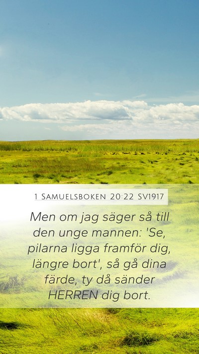 1 Samuelsboken 20:22 SV1917 Bible Verse Image