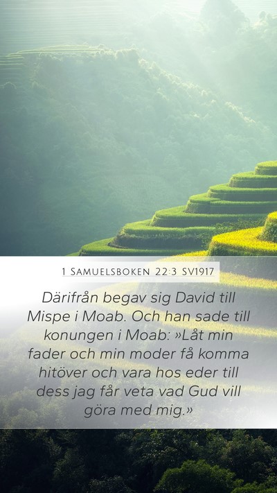 1 Samuelsboken 22:3 SV1917 Bible Verse Image
