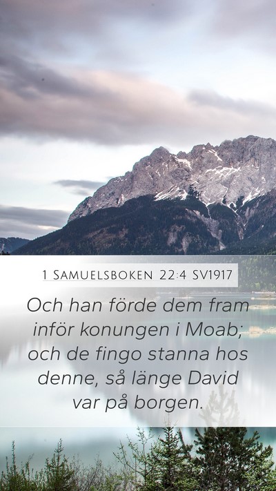 1 Samuelsboken 22:4 SV1917 Bible Verse Image