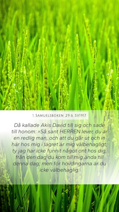 1 Samuelsboken 29:6 SV1917 Bible Verse Image