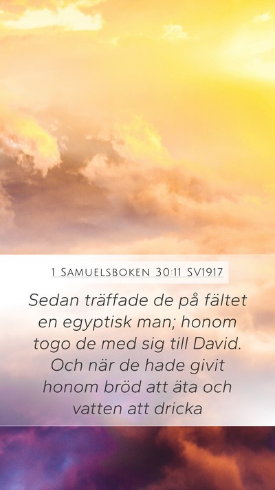 1 Samuelsboken 30:11 SV1917 Bible Verse Image