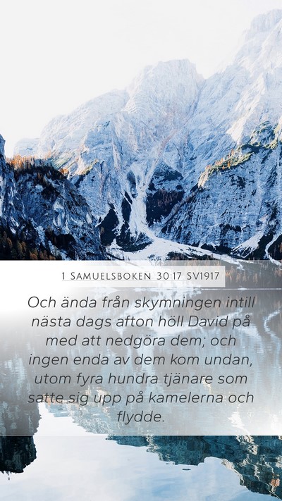 1 Samuelsboken 30:17 SV1917 Bible Verse Image