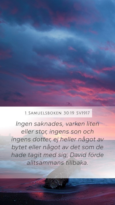 1 Samuelsboken 30:19 SV1917 Bible Verse Image