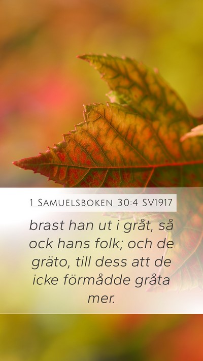 1 Samuelsboken 30:4 SV1917 Bible Verse Image