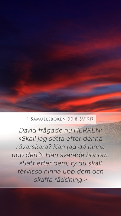 1 Samuelsboken 30:8 SV1917 Bible Verse Image